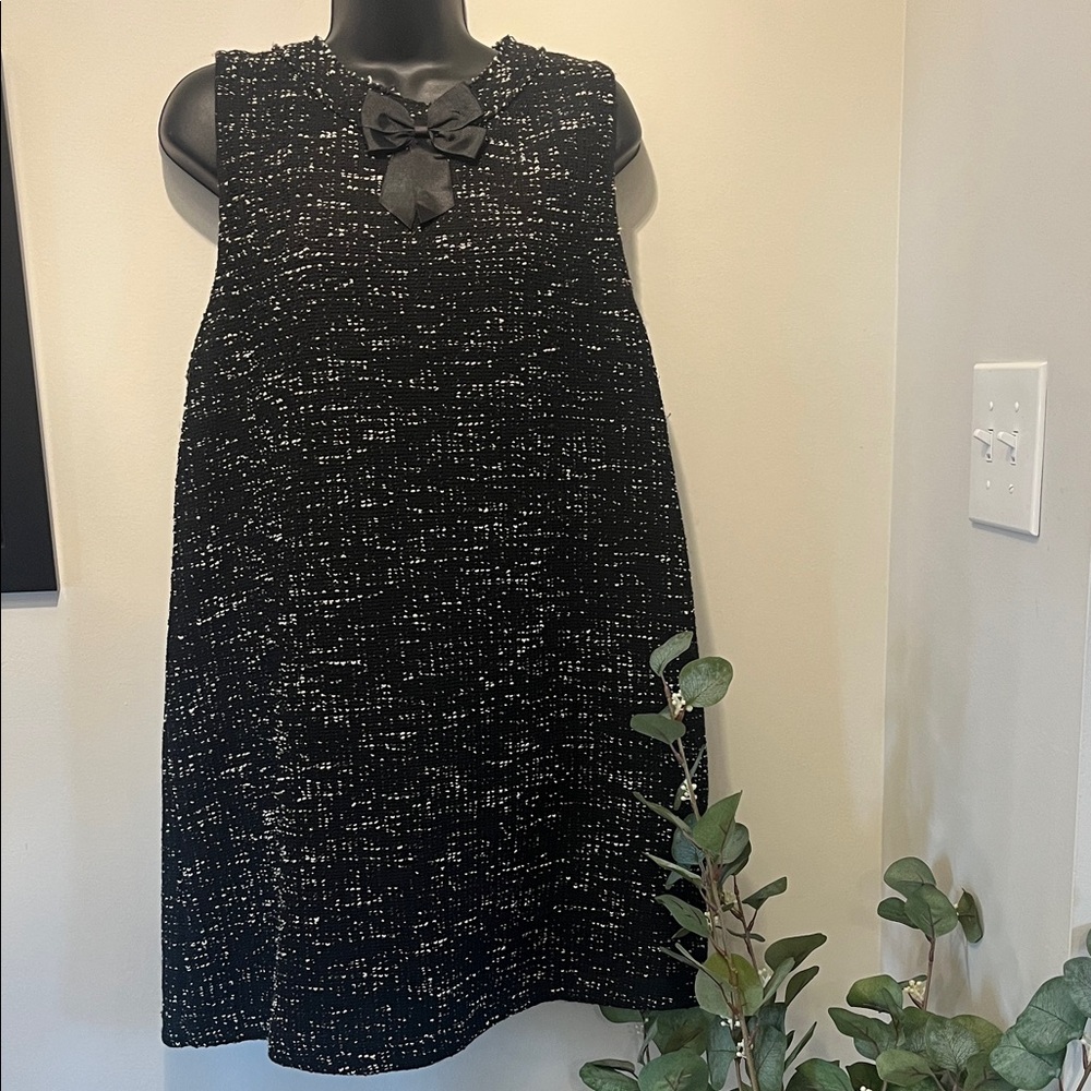Zara Black and White A- Line Shift Dress